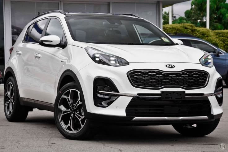 Kia Sportage Hybrid Colors 2024 White