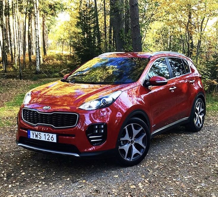 Kia Sportage Hybrid Colors 2024 Red